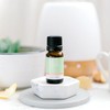 ECO. Modern Essentials Digestive Essential Oil Blend, 10ml