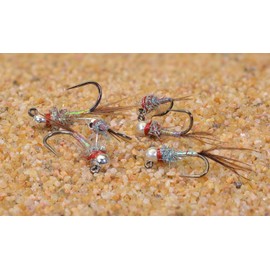 Region Fishing Tungsten Bead Rainbow Warrior Jig Fly - Euro Nymph - Hanak Hooks - 6ct Pack (Assortment)