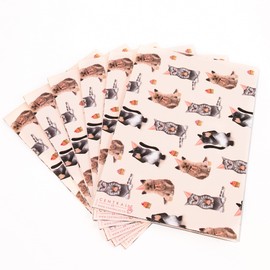 Central 23 - Cat Wrapping Paper - 6 Sheets of Pink Birthday Gift Wrap - Kittens in Hats - For Women Girls New Baby - Recyclable