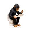 Darthome Cheeky Monkey On Toilet Ornament 15x20x12cm Resin Up Yours