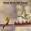 Bird Spike Strips for Outdoor Surfaces with Adhesive Strips (4,