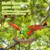 1 Piece Budgie Swing, Bird Toy for Budgies, Natural Perch