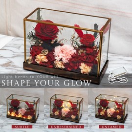 AEMYNOUZ Forever Real Roses Bush in Glass Dome with LED Light, Handcrafted Preserved Flowers, Eternal Floral Gift for Women Wife Grandma, Birthday Anniversary, Home Décor Accents (Red)