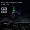 Adjustable LED Dog Collar – Reflective, Rechargeable & Anti-Lost (Green,