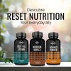 Reset Nutrition Complejo De Hongos Energía Memoria 180 Cáps Sabor