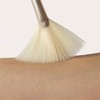 Jane Iredale Fan Brush