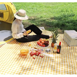 Dusenly Disposable Picnic Mat Waterproof Foldable Blankets Gingham Picnic Mats for Beach Camping Grass Lawn Park with 4 Ground Nails