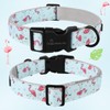 ARING PET Flamingo Dog Collar-Cute Summer Small Dog Collars, Adjustable