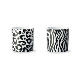 Safari Lock Cup AM – SA – 1224 