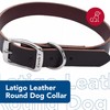 Coastal Pet - Circle T - Latigo Leather Town Dog