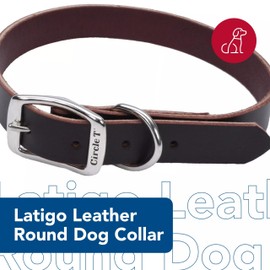 Coastal Pet - Circle T - Latigo Leather Town Dog Collar, Latigo, 3/8" x 12"