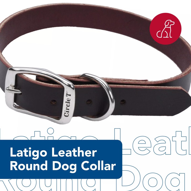 Coastal Pet - Circle T - Latigo Leather Town Dog