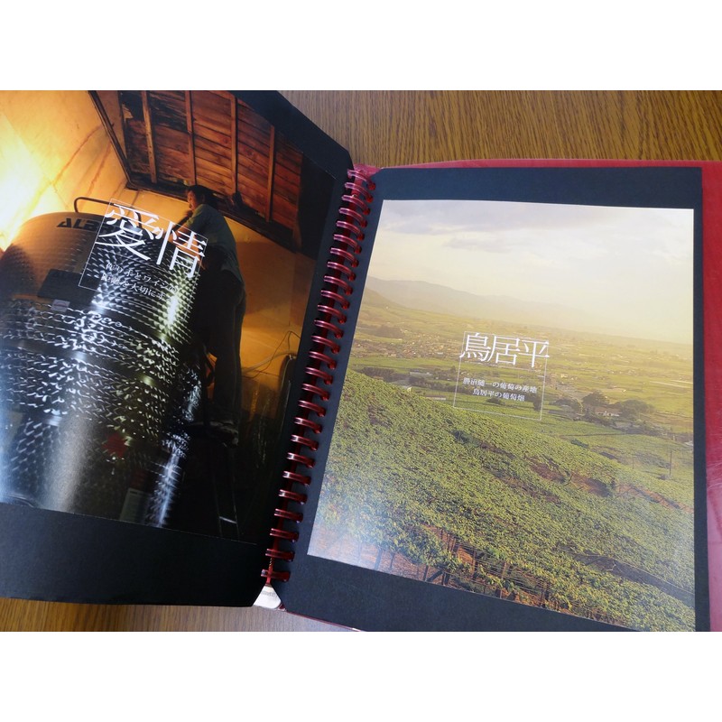 Ishihara Paper BL4 Loose Leaf Black B5 Nobi 26 Holes,
