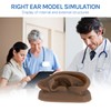 SimCoach Modelo de oreja de acupuntura, réplica de oreja artificial