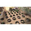 6 Pack of 16 in Planting Rings for Watering Plants