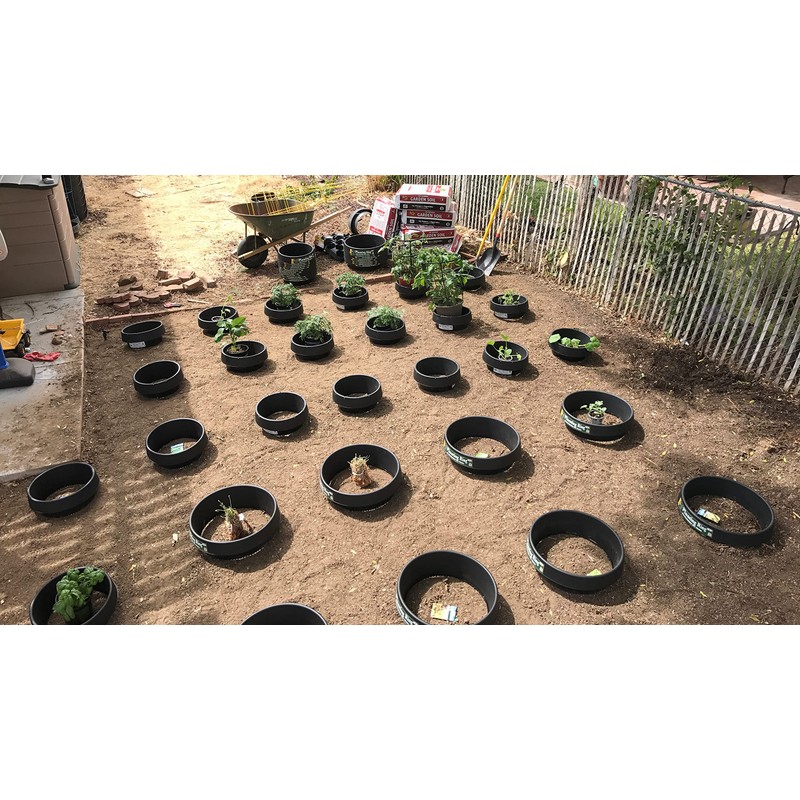 6 Pack of 16 in Planting Rings for Watering Plants