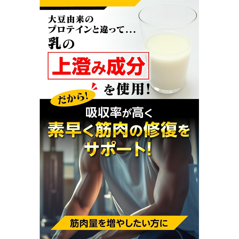 WHEYPROTEIN100 【 ホエイ プロテイン 錠剤 】 筋肉 サプリ タブレット タンパク質