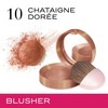 Bourjois Little Round Pot Blusher Chataigne Doree