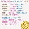 HARELU ソイプロテイン シニア向け マルチビタミン・乳酸菌配合 植物性 大豆プロテイン ココア味 500g 低脂質 ダイエット・筋力維持・健康サポート