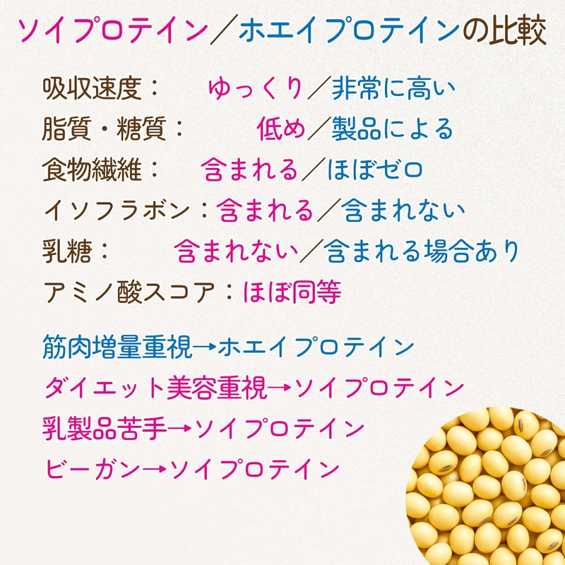 HARELU ソイプロテイン シニア向け マルチビタミン・乳酸菌配合 植物性 大豆プロテイン ココア味 500g 低脂質 ダイエット・筋力維持・健康サポート