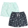 Gerber Boys' Toddler 2-Pack Swim Trunks, Surf