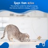 Cat Dancer Interactive Cat Toy - Fun and Fitness for