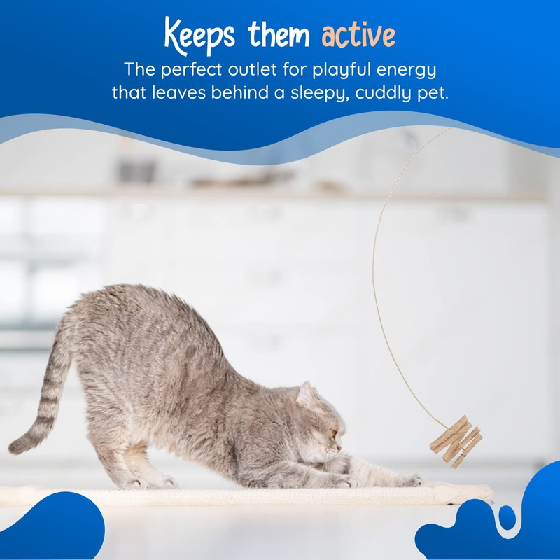 Cat Dancer Interactive Cat Toy - Fun and Fitness for