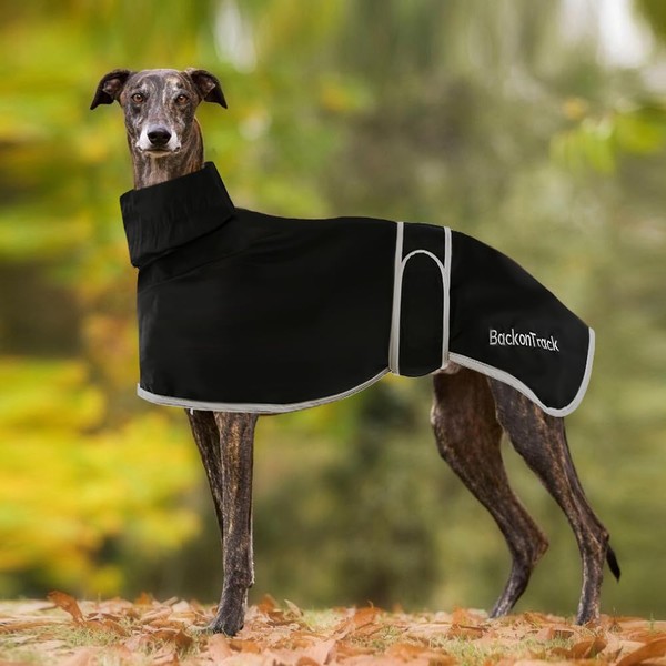 Greyhound Raincoat Lightweight, Whippet Coats Waterproof, Greyhound Coats Waterproof, Whippet