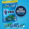 ORBIT Peppermint, Spearmint, & Wintermint Assorted Sugar Free Chewing Gum