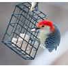 ST. ALBANS BAY SUET PLUS Suet Cake Variety Packs, 11
