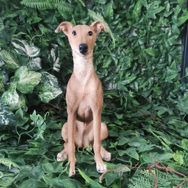 Vivid Arts - Whippet - XRL-WHIP-D