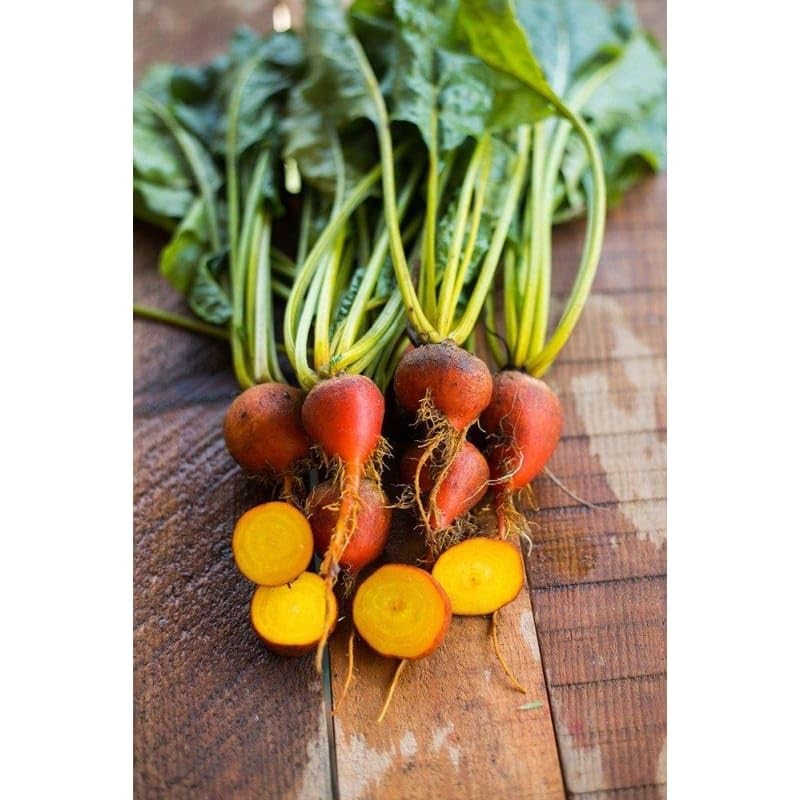 TomorrowSeeds - Golden Beet Seeds - 100+ Count - for