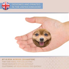 Destination Vinyl ltd Magnet for Refrigerator, Fridge - Cute Pomeranian Puppy Dog Animals for Office, Cabinet and Whiteboard, Magnetic Stickers, 8660