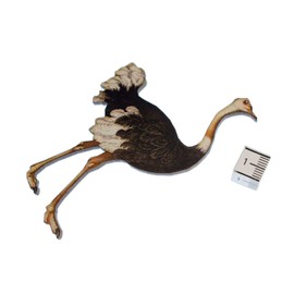 Miniblings Ostrich Printed Wood Brooch Pin Badge Button Wooden Australia Bird
