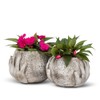 Abbott Collection Moon in Hands Cement Planter - Grey, Small