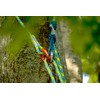 Notch Rope Logic 11.7 m x 5 ft. Banshee Adj