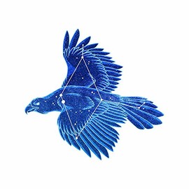 Constellation: Aquila The Eagle Decal -Indoor and Outdoor use!