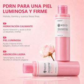 Tonico Hidratante Facial Coreano, con Salmon DNA PDRN, Niacinamida, 100% Natural, Hipoalergénica, Hidrata, Ilumina, Toner Facial para Todo Tipo de Piel (Paquete de 12, 300ml)