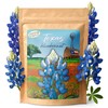 Created By Nature Texas Bluebonnet Seeds, 750+ Wildflower Seeds, Texas