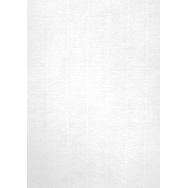 White Laid Paper 100 g / 100 Sheets / A4