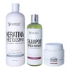 Kit Efecto Espejo Silve 1l, Sellador 300ml, Shampoo Lp 500ml