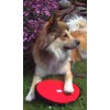 Dogs and More - Floatable Fabric Frisbee (Large) / Frisbee