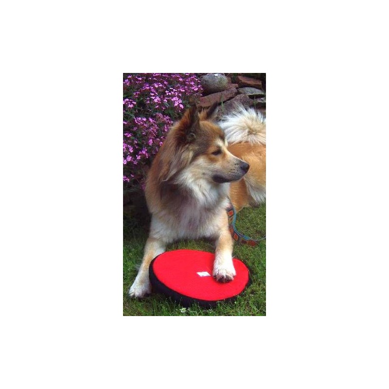 Dogs and More - Floatable Fabric Frisbee (Large) / Frisbee