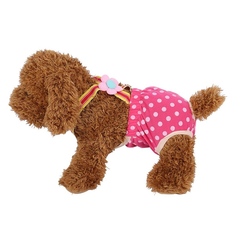Pantalones sanitarios para perros, 6 tamaños para perras, pañales fisiológicos,