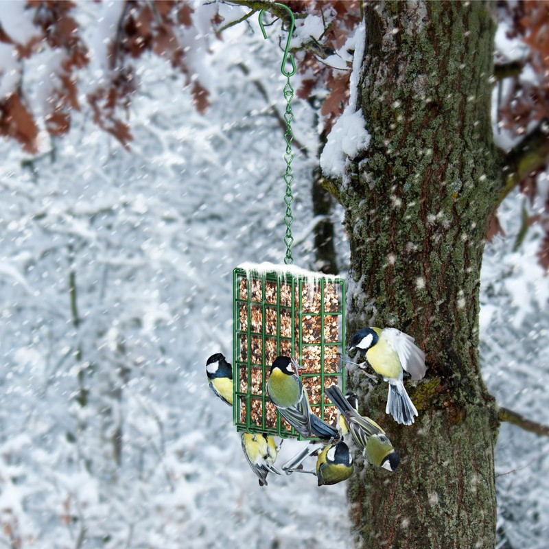 Bird Feeder for Outdoors, Suet Feeder for Outside Hanging Suet