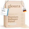 Premium Collagen Powder, 100% Pure Collagen Hydrolysate Type 1 &