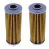 DURAFORCE 2X Fuel Filter 119810-55650 For Yanmar Cub Cadet SC2400