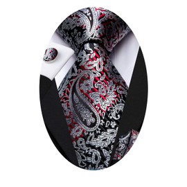 Hi-Tie Silk Paisley Ties for Men Necktie Pocket Square Cufflinks Set Foral Tie Sets Formal Business,Black Red