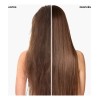 Shampoo Pantene Fuerza y Reconstrucción con Pro-vitaminas, Proteínas y Aceite
