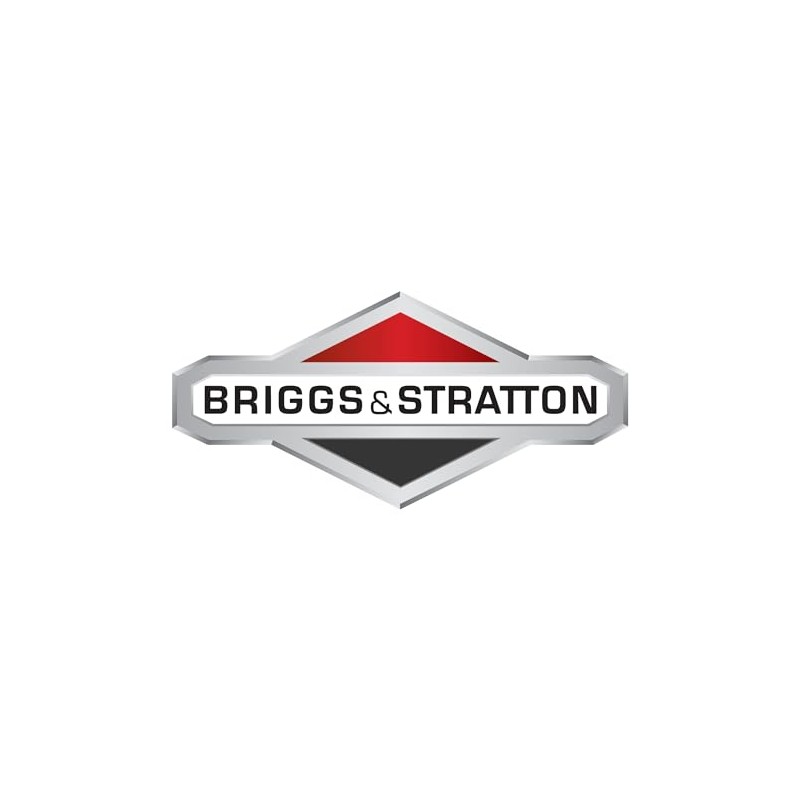Briggs & Stratton Cap, Fuel Assy